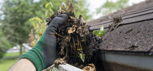 Blog post - Property Maintenance: Seasonal Checklist
