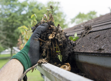 Blog post - Property Maintenance: Seasonal Checklist