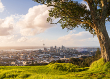 Thumbnail for Mt. Eden
